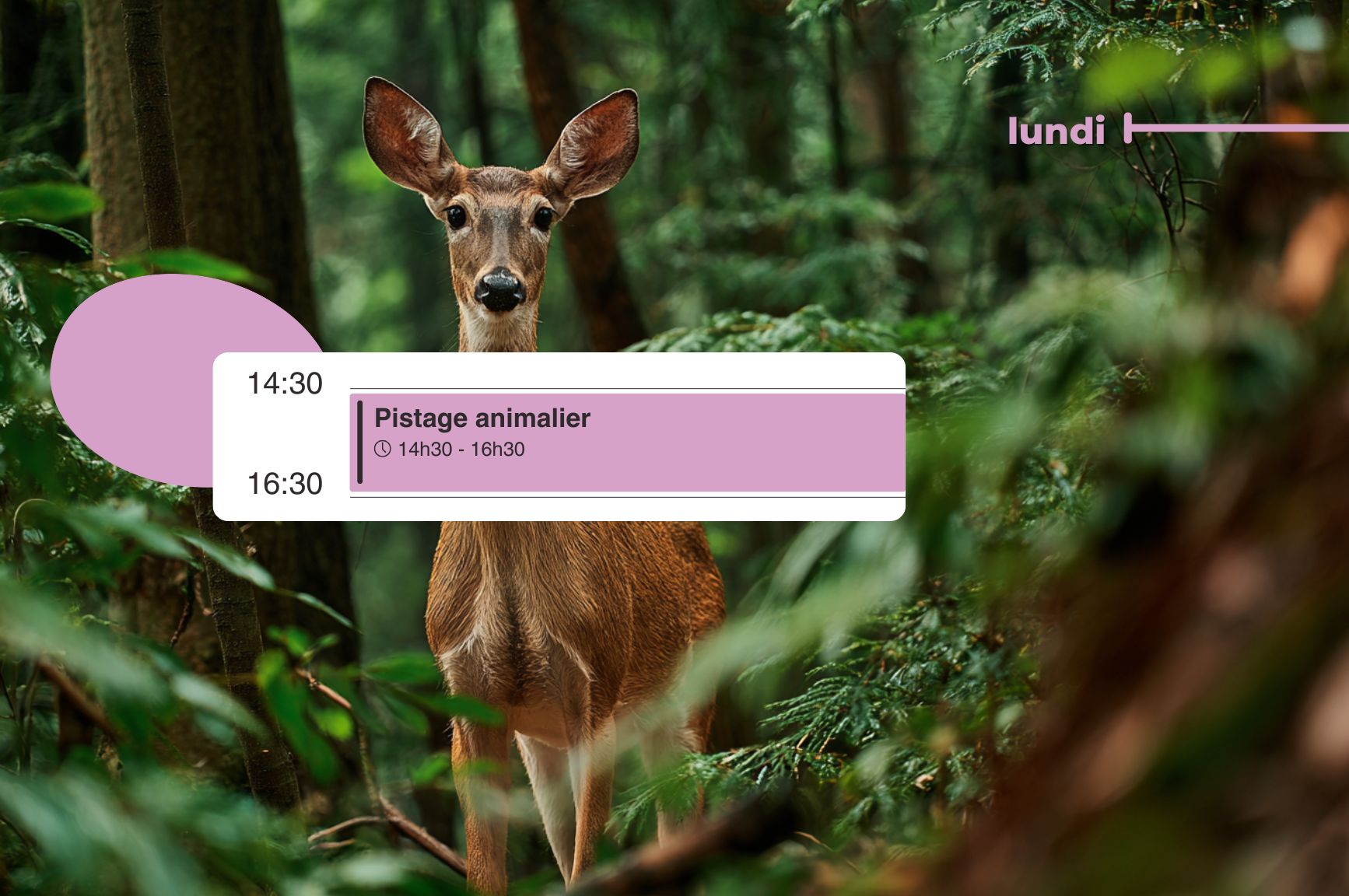 lundi chez Make Fire Sauvage Dordogne