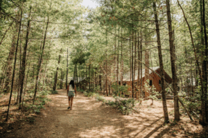 30 minutes dans la nature : ce que dit la science sur les bienfaits