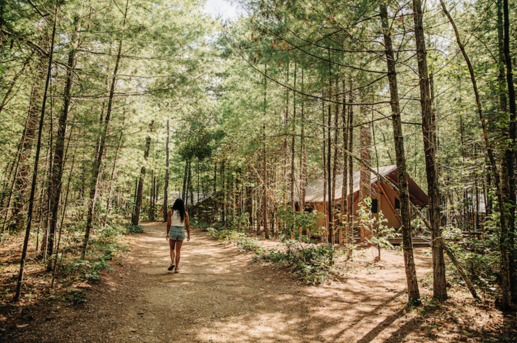 30 minutes dans la nature : ce que dit la science sur les bienfaits